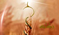 تحقق ۱۰۸ درصدی برنامه زکات در استان زنجان