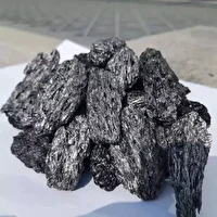 برنامه ریزی برای توسعه کک سوزنی در خوزستان