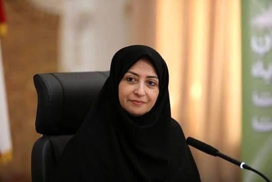 درخواست انصاری از مجلس برای تقویت سازمان محیط‌زیست