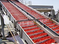 سرمایه‌گذاری در صنایع تبدیلی استان فارس