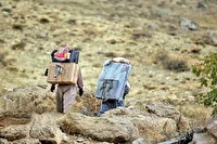 تاکید گمرک بر مالیات علی‌الحساب ۲ درصدی کولبری و ملوانی
