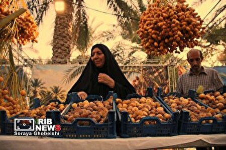 جشنواره نخل و خرما در غزاویه کوچک